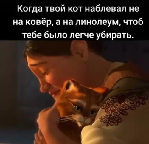 Смешная картинка №737399 Коты