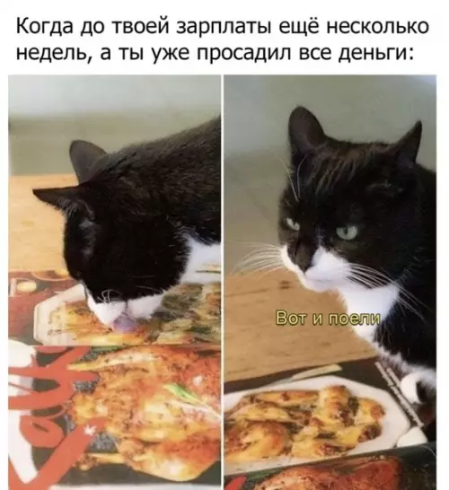 Смешная картинка №591368 Ой жизааааа