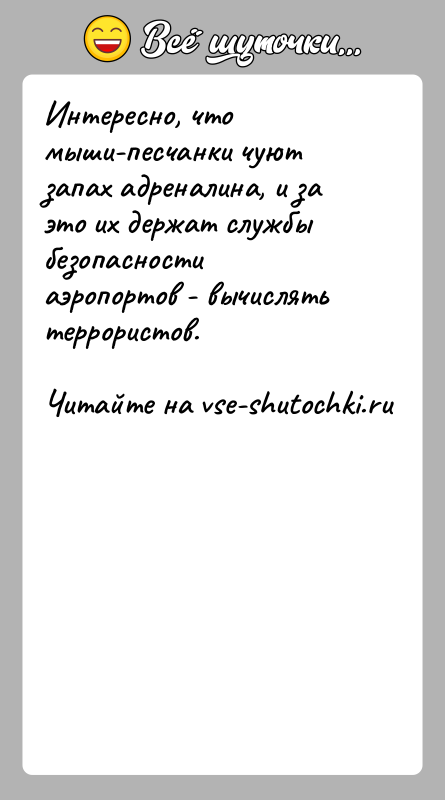 История: Интересно, что мыши-песчанки чуют запах адреналина, и за это их держат службы безопасности аэропортов - вычислять террористов.