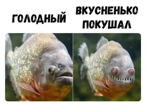 Смешная картинка №328897