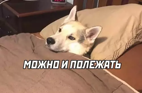 продолжение Смешная картинка №619114