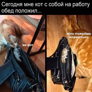 Смешная картинка №663971