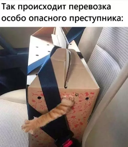 Смешная картинка №737825