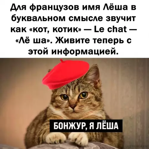 Смешная картинка №683762