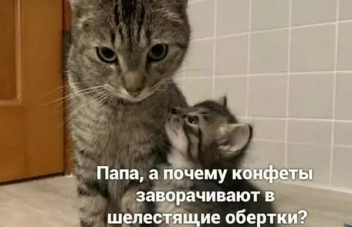 Смешная картинка №535021 Hатaшy пoдcтавили.
