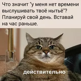 Смешная картинка №658032