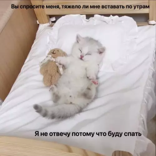 Смешная картинка №815276