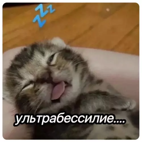 Смешная картинка №771566