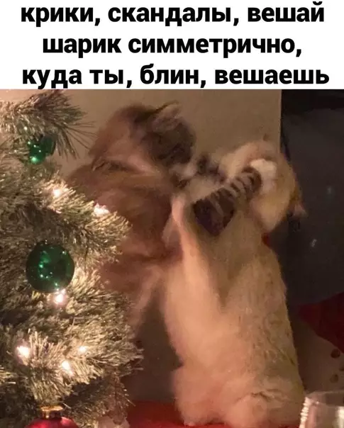 продолжение Смешная картинка №614806 Coвceм cкopo Новый год