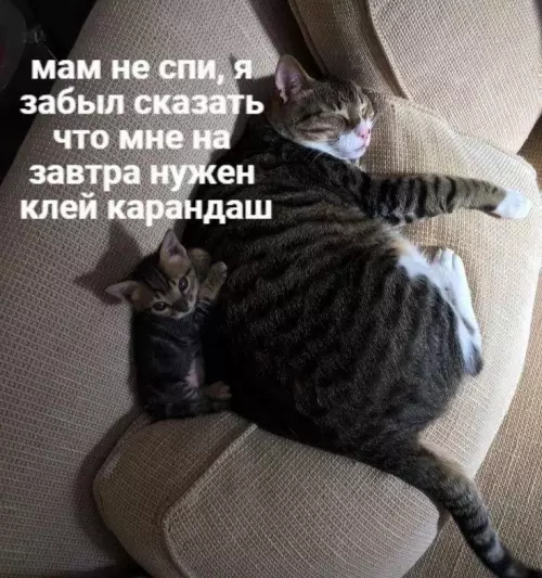 Смешная картинка №789927