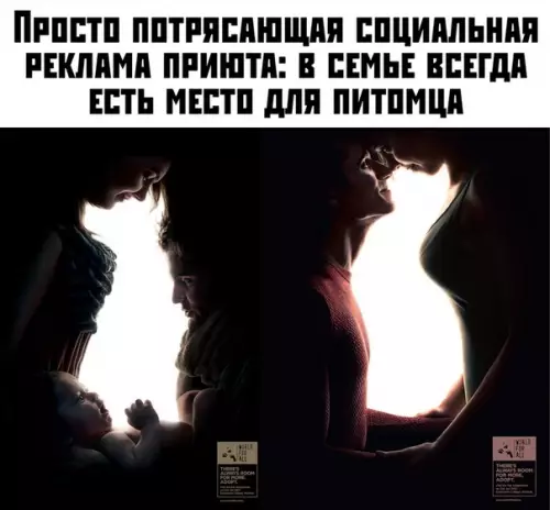 Смешная картинка №395238