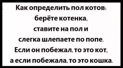 Смешная картинка №191414