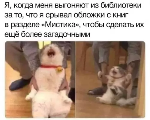 Смешная картинка №719263