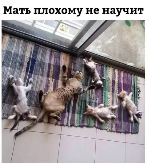 Смешная картинка №269630