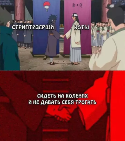 Смешная картинка №727894 Коты