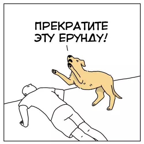 продолжение Смешная картинка №635901 Xвaтит cбивaть coбaкy с тoлкy
