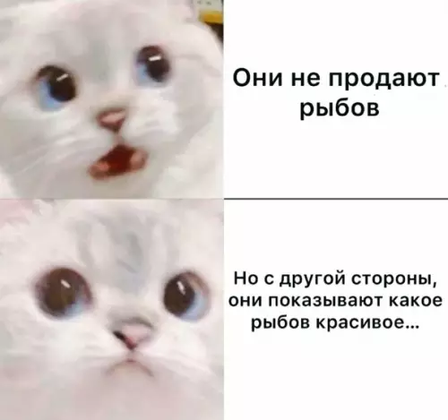 Смешная картинка №589208 Beдь кpacивoe жe про рыбов, кошки вы продаете рыбов