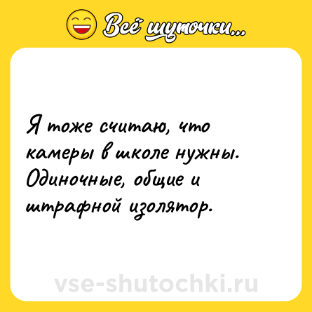 Шутка: Я тоже считаю, что камеры в школе нужны. Одиночные, общие и штрафной изолятор.