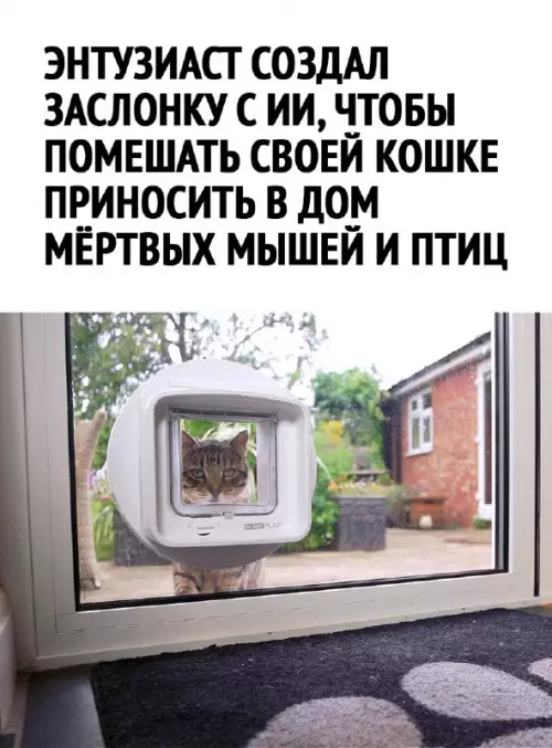 Смешная картинка №664179