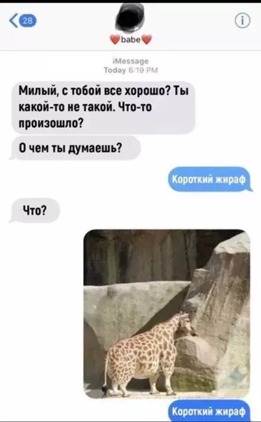 Смешная картинка №318521