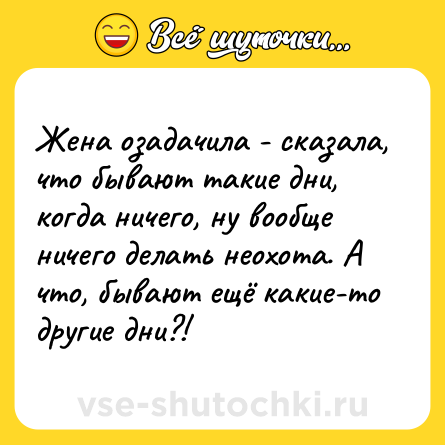 Шутка: Жена озадачила - сказала, что бывают такие дни, когда ничего, ну вообще ничего делать неохота. А что, бывают ещё какие-то другие дни?!