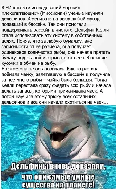 Смешная картинка №466206 Такими темпами они и мир захватят!