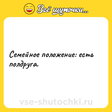 Шутка: Семейное положение: есть полдруга.