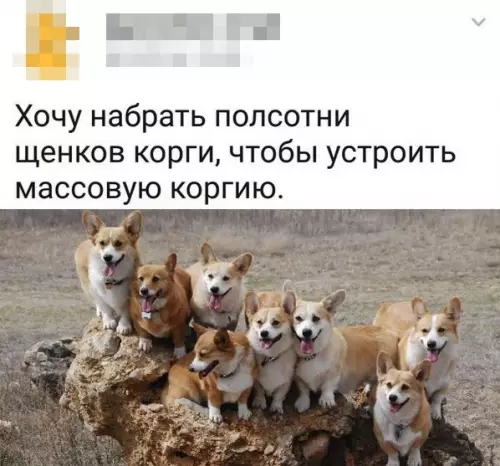 Смешная картинка №353099