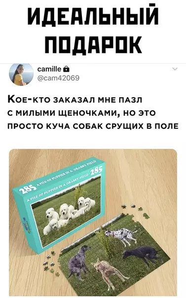 Смешная картинка №502924