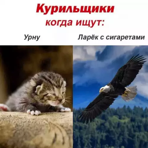 Смешная картинка №695034