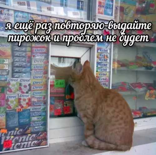 Смешная картинка №754701