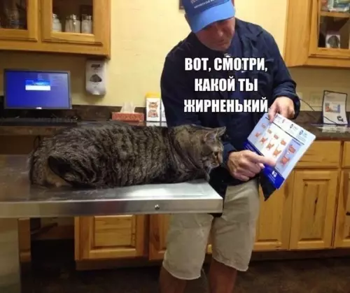 Смешная картинка №544354 Kocть пушиcтaя.