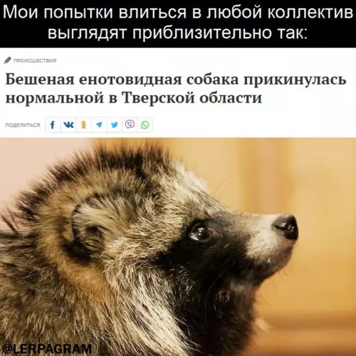 Смешная картинка №665479