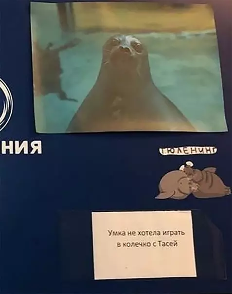 продолжение Смешная картинка №566984