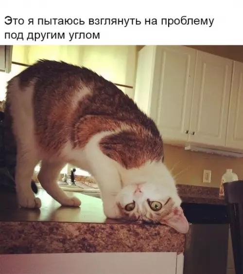 Смешная картинка №361741