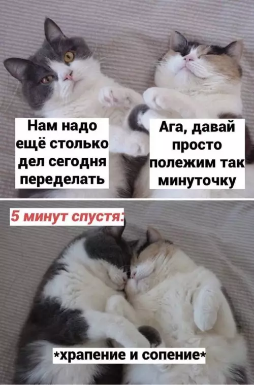 Смешная картинка №780409