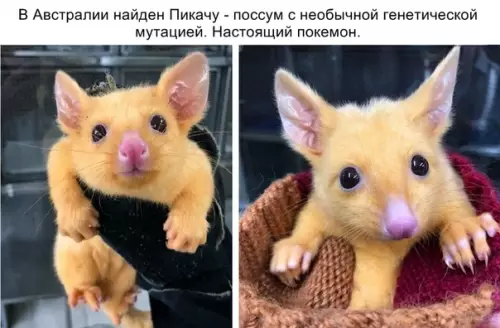 Смешная картинка №316982