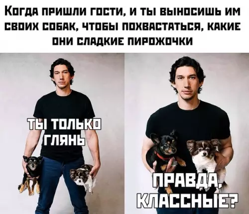 Смешная картинка №442082