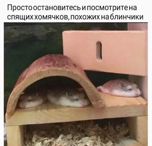 Смешная картинка №250868