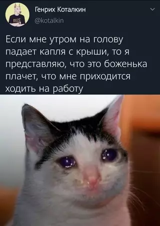 Смешная картинка №678311