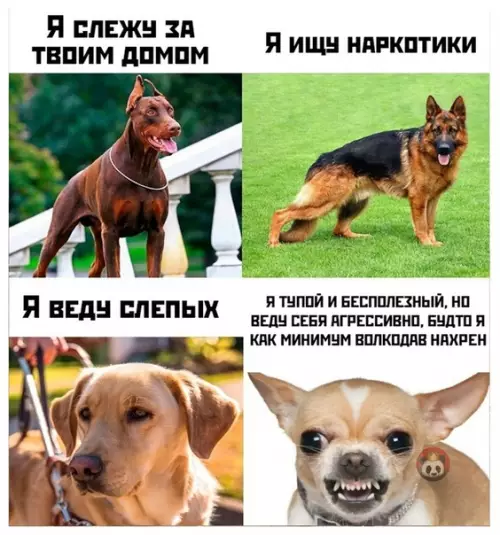 Смешная картинка №509456 Согласны?