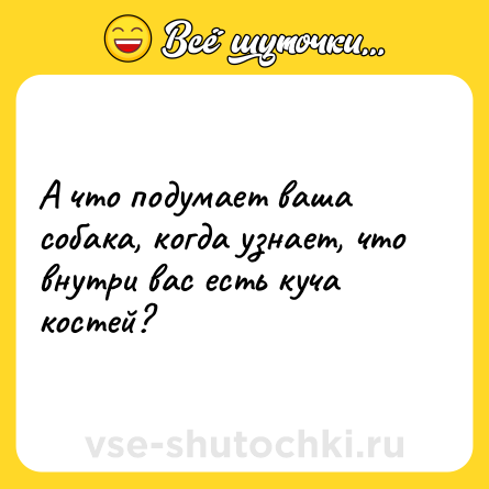 Шутка: А что подумает ваша собака, когда узнает, что внутри вас есть куча костей?