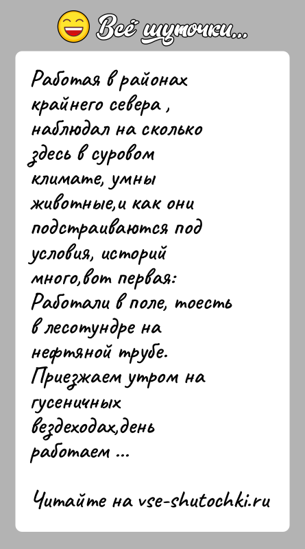 История: Работая в районах крайнего севера , наблюдал на сколько здесь в суровом климате, умны животные,и как они подстраиваются под условия,