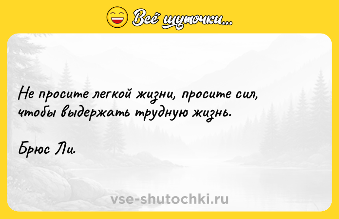 Цитата: Не просите легкой жизни, просите сил, чтобы выдержать трудную жизнь.Брюс Ли.