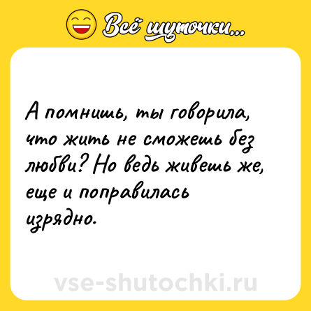 Шутка: А помнишь, ты говорила, что жить не сможешь без любви? Но ведь живешь же, еще и поправилась изрядно.