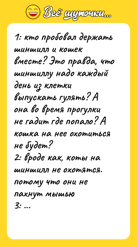 1: кто пробовал держать шиншилл и кошек вместе? Это правда,