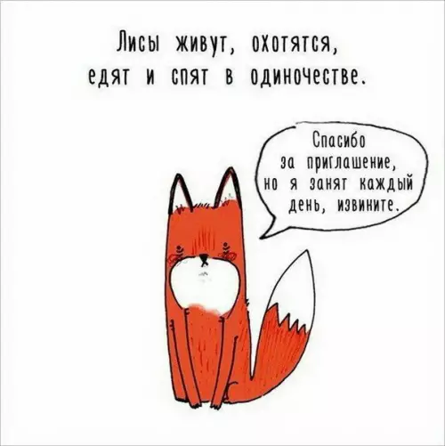Смешная картинка №289406 Вот почему я люблю лисичек - я одна из них