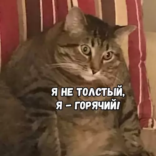 продолжение Смешная картинка №678375