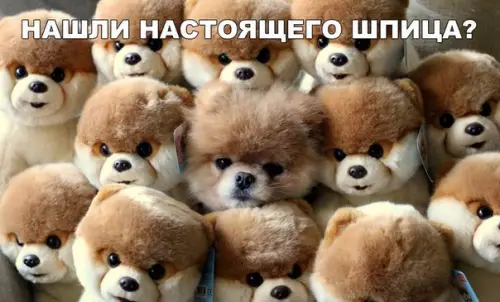 Смешная картинка №216376