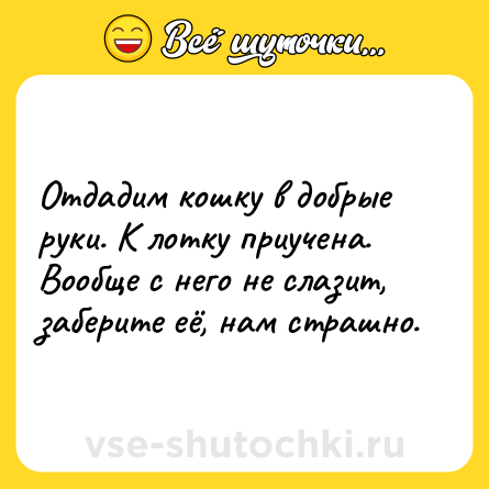 Шутка: Отдадим кошку в добрые руки. К лотку приучена. Вообще с него не слазит, заберите её, нам страшно.
